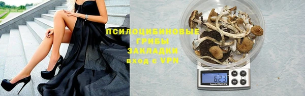 винт Алзамай