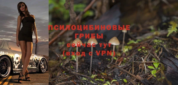 a pvp Алексин