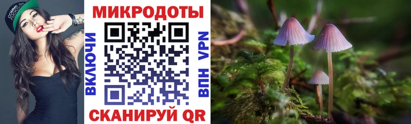 купить закладку  Динская  кракен онион  Галлюциногенные грибы ЛСД 